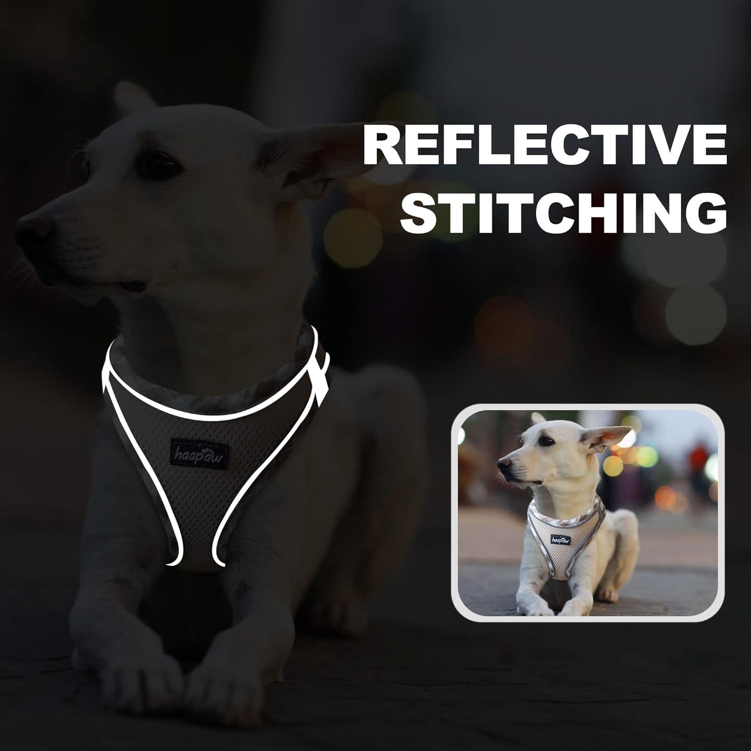 GentlePaws Dog Harness Set