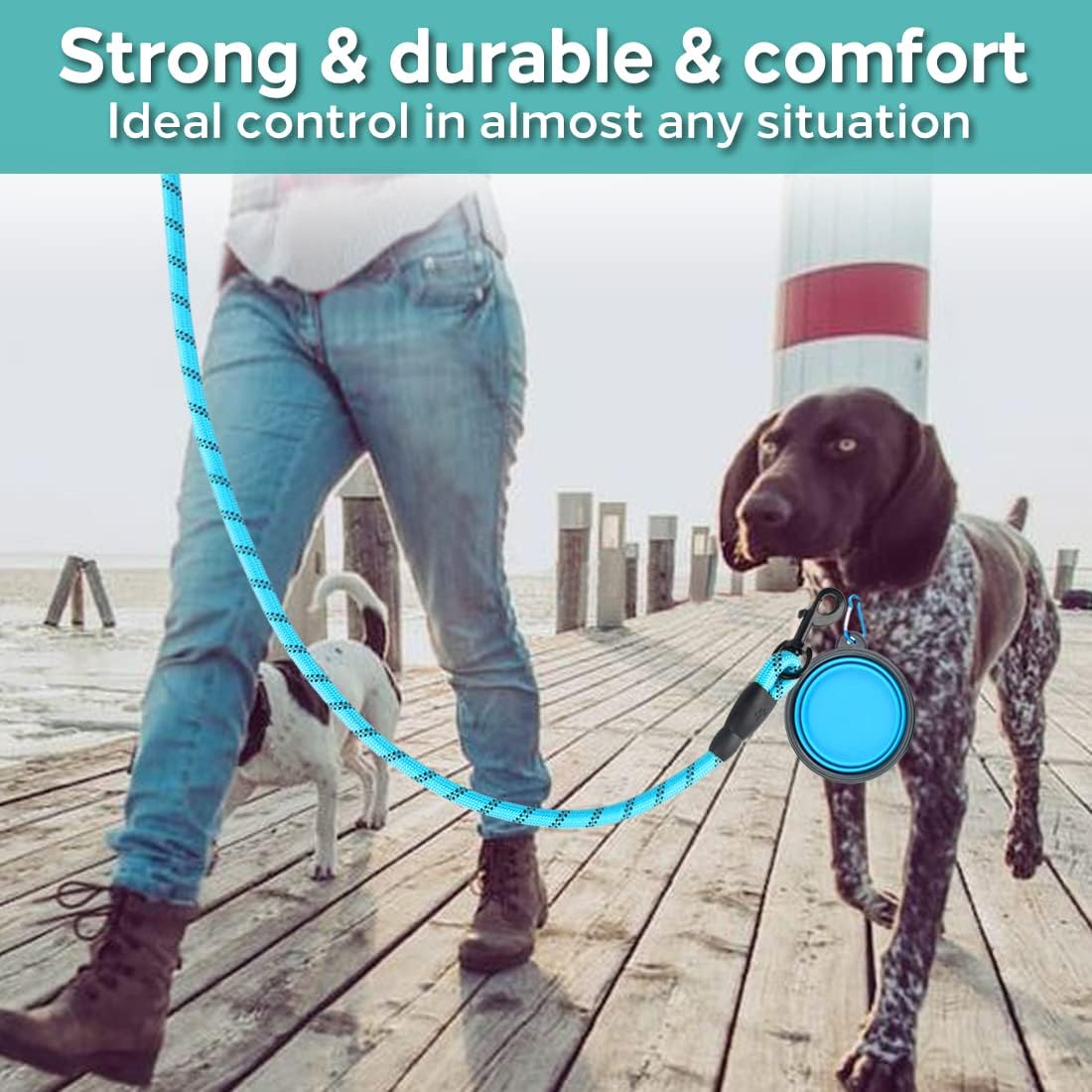 Ultimate Pawsome Dog Leash Set