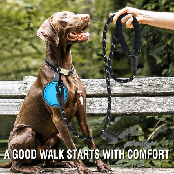 Ultimate Pawsome Dog Leash Set