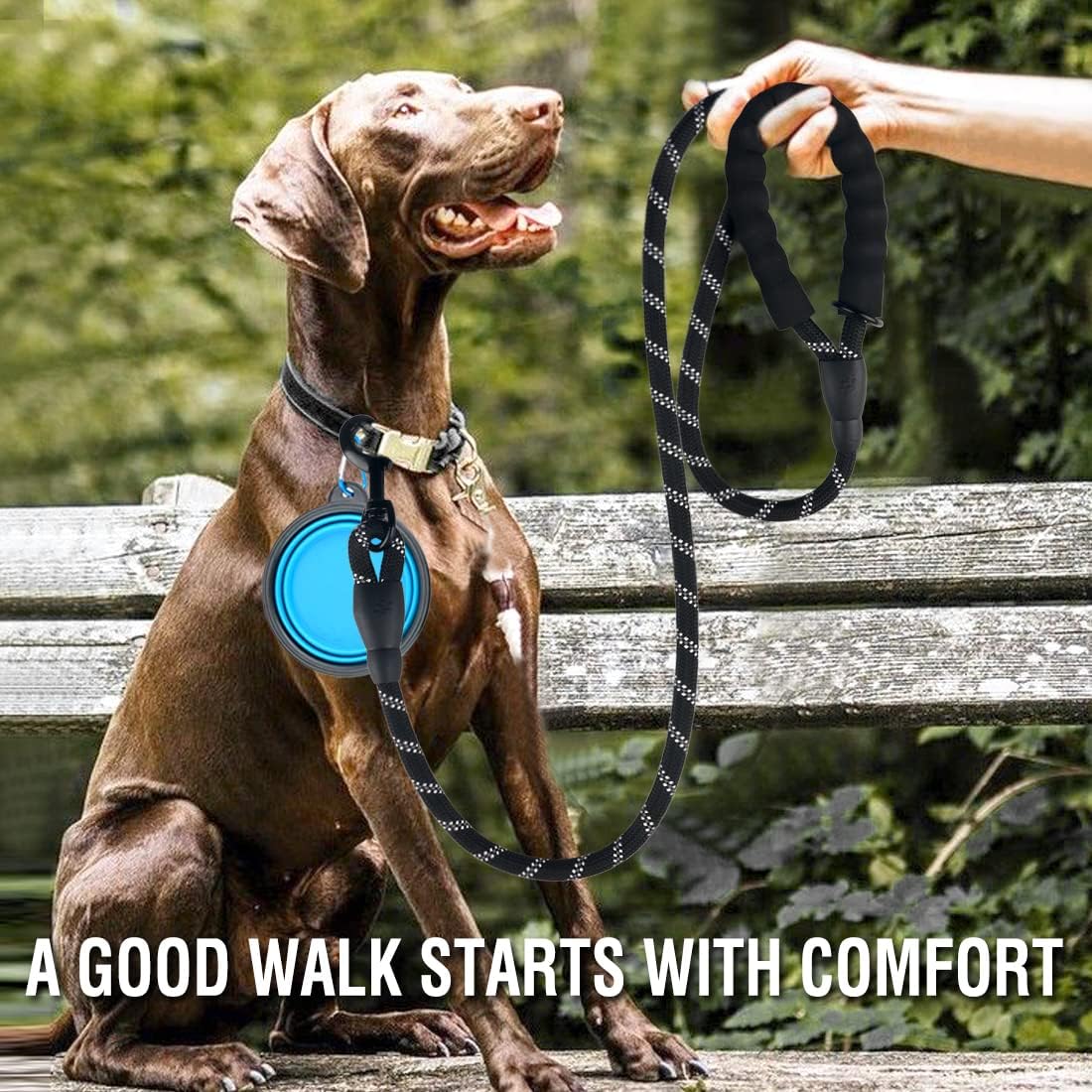 Ultimate Pawsome Dog Leash Set