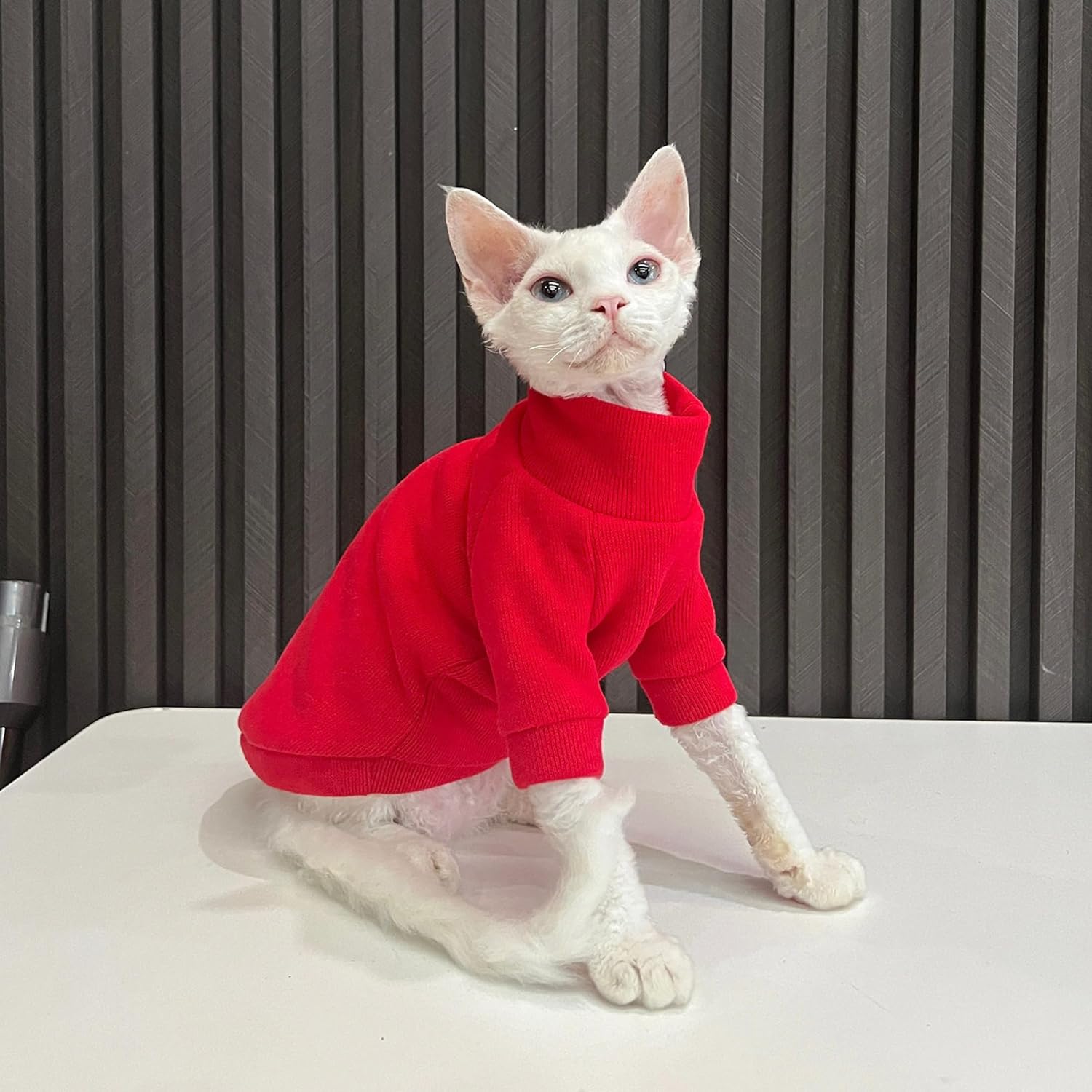 Cozy Cat Sweater for Stylish Cats