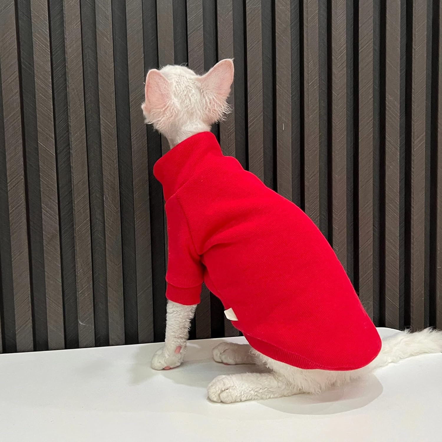 Cozy Cat Sweater for Stylish Cats