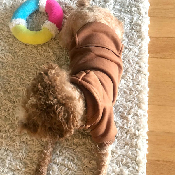 Cozy Paws Dog Hoodie
