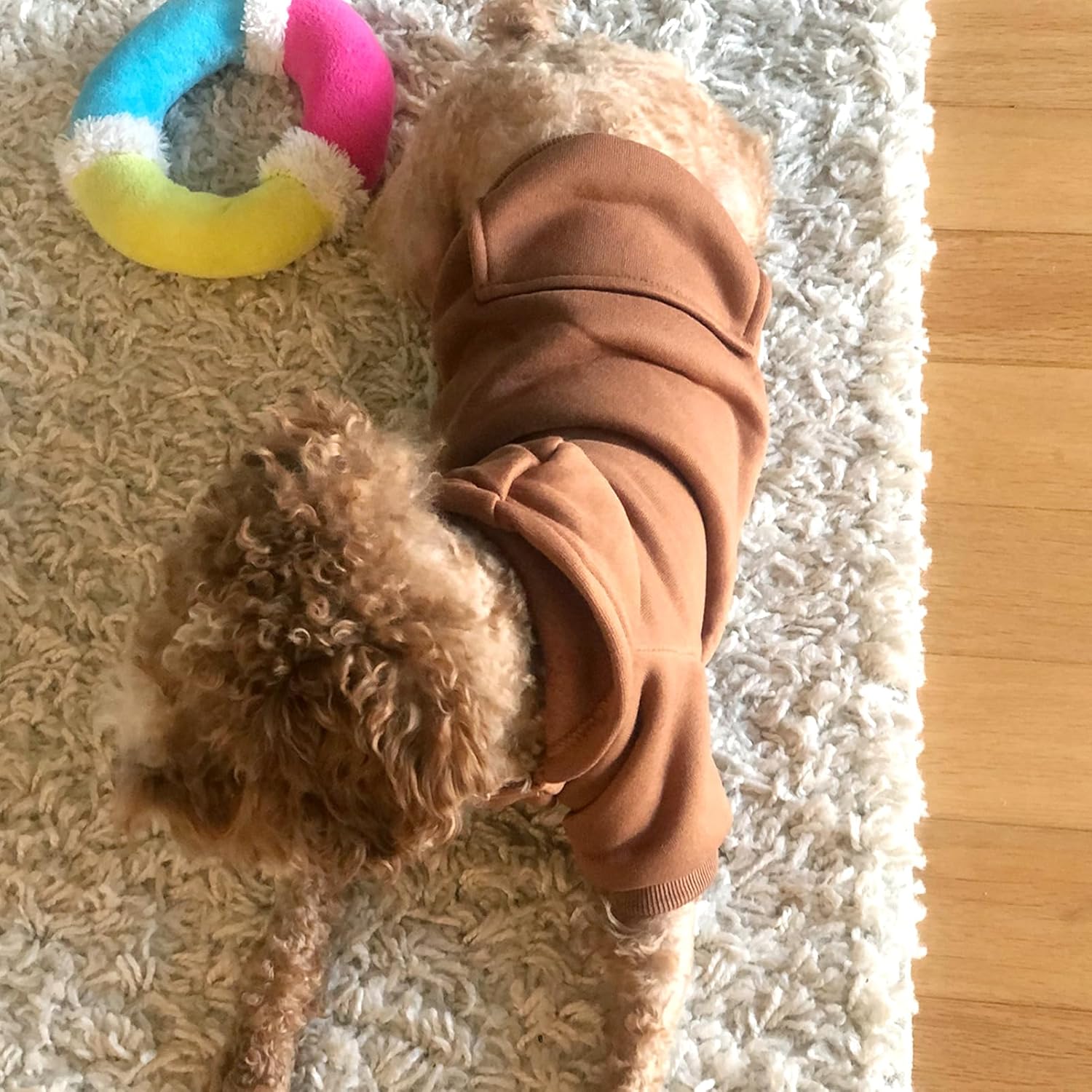 Cozy Paws Dog Hoodie