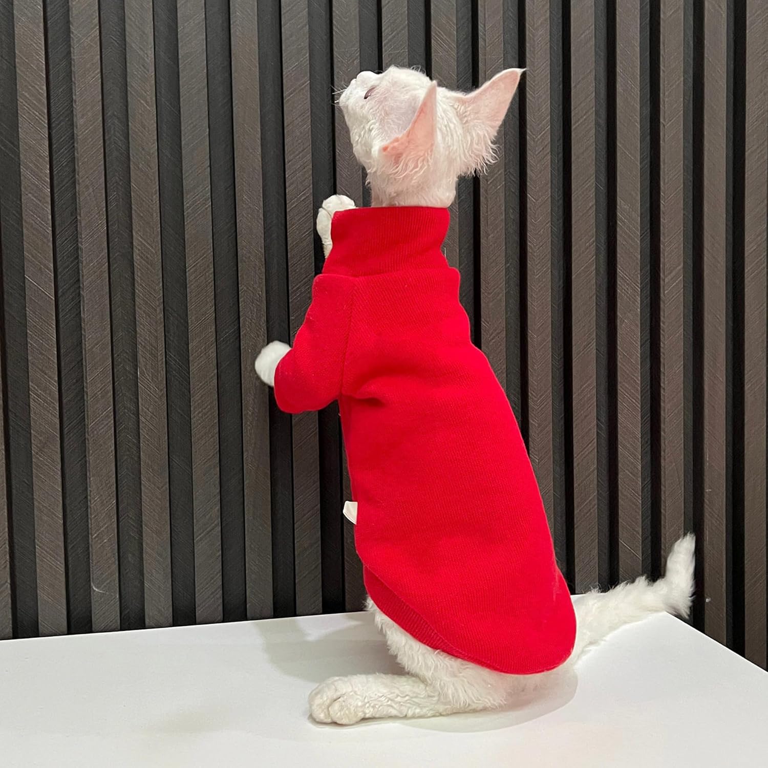 Cozy Cat Sweater for Stylish Cats