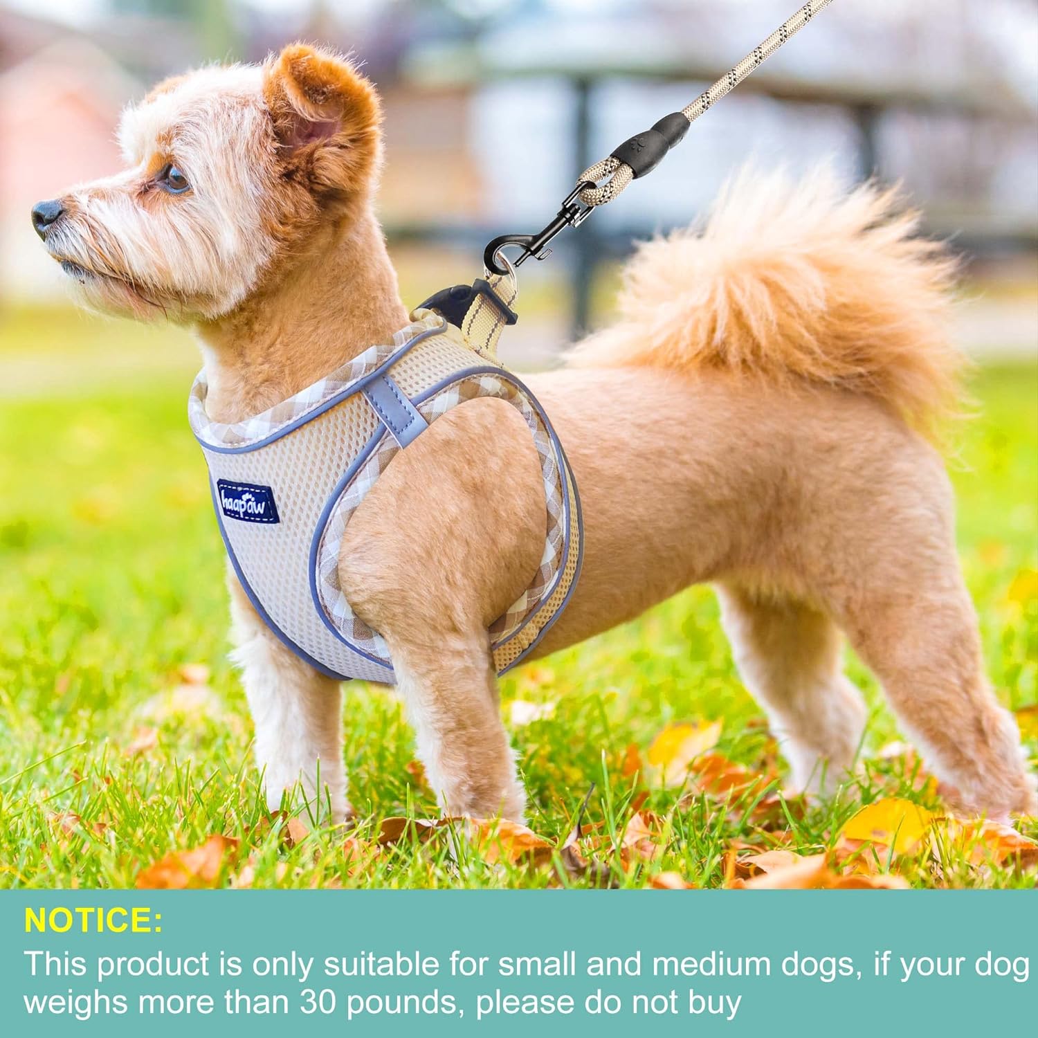 GentlePaws Dog Harness Set