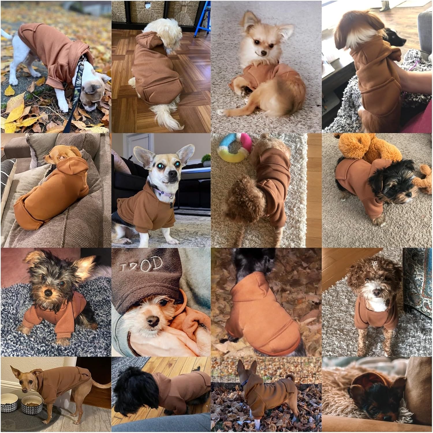 Cozy Paws Dog Hoodie