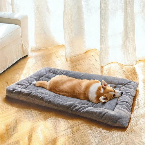 Cozy Deluxe Dog Sofa Bed